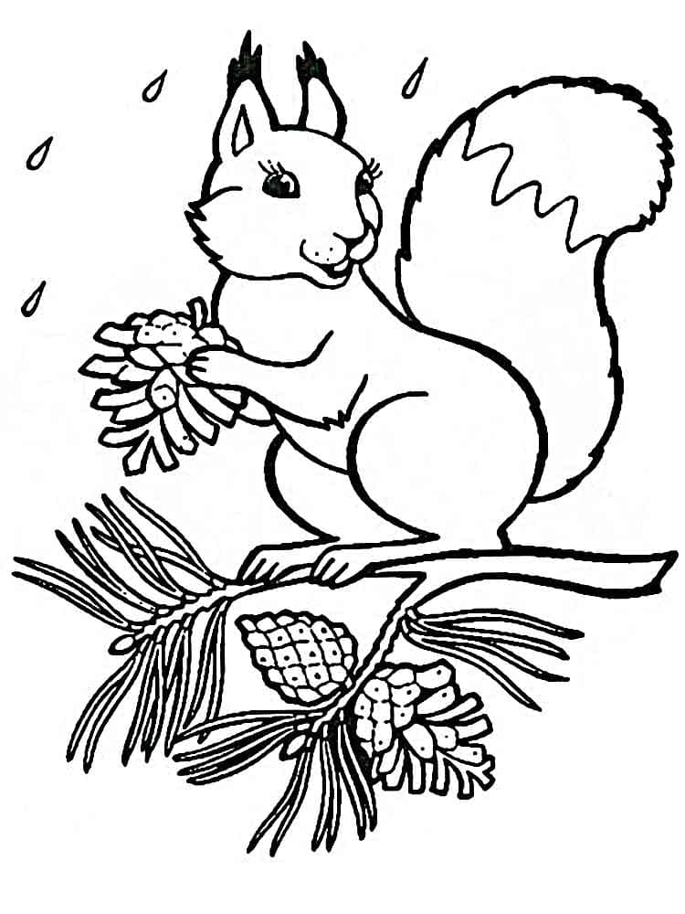 Dibujo gratuito Ardilla #177471 de la coleccion Animales para imprimir