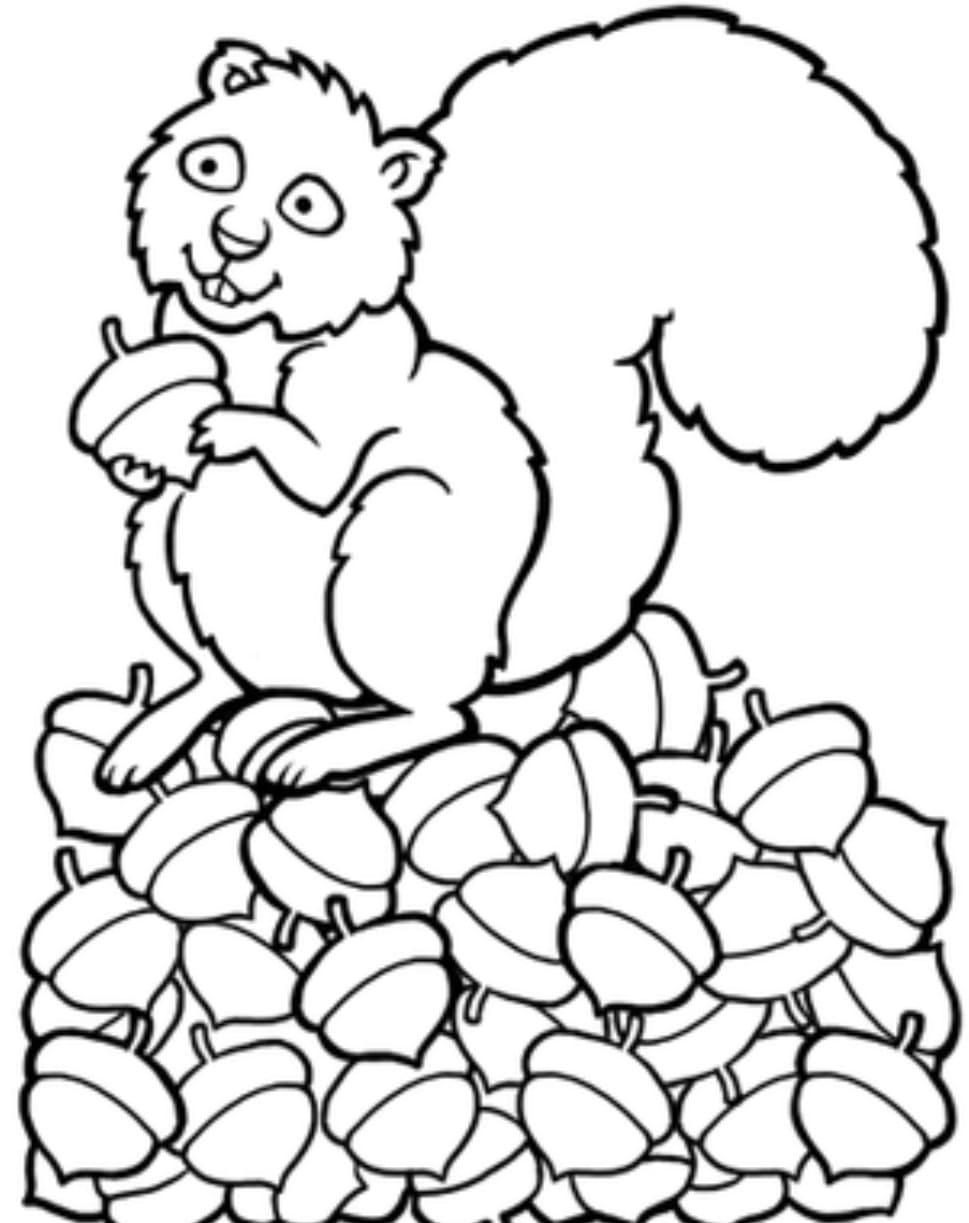 Dibujo gratuito Ardilla #216970 de la coleccion Animales para imprimir