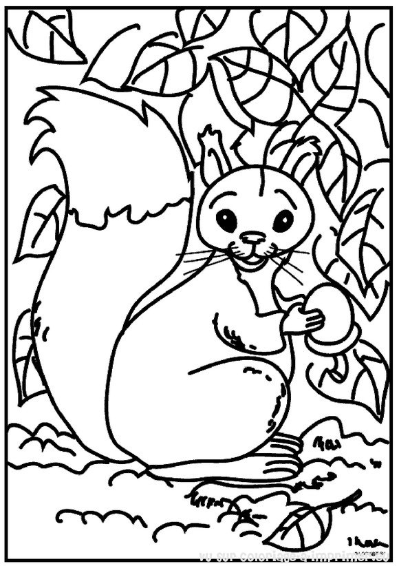 Dibujo para colorear: Ardilla (Animales) #6100 - Dibujos para Colorear e Imprimir Gratis