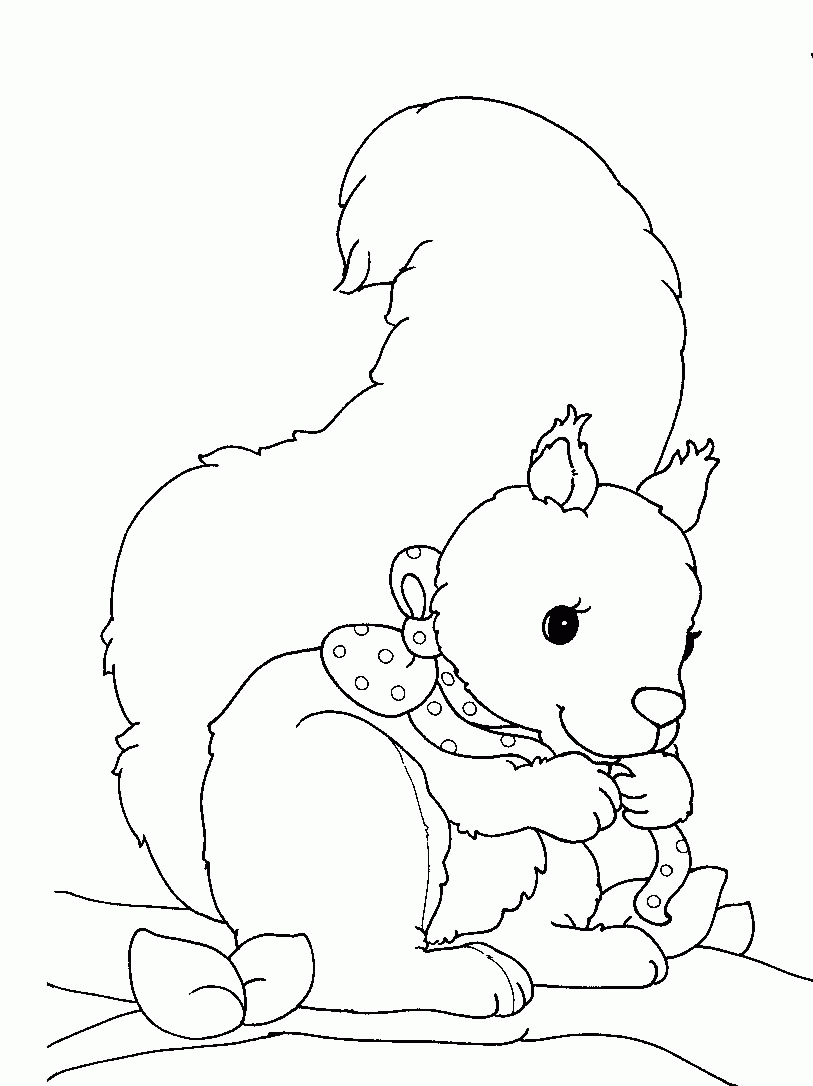 Dibujo para colorear: Ardilla (Animales) #6175 - Dibujos para Colorear e Imprimir Gratis