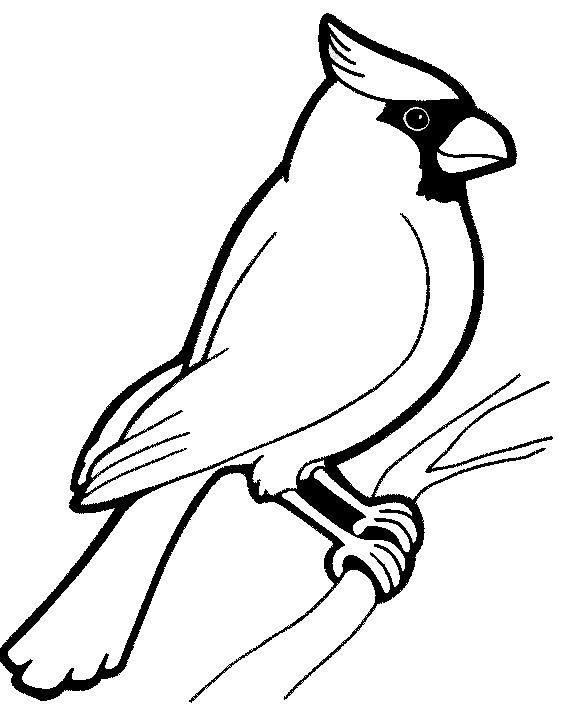 Dibujo para colorear: Aves (Animales) #11846 - Dibujos para Colorear e Imprimir Gratis