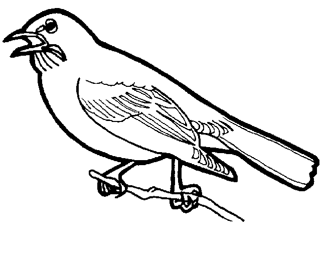 Dibujo para colorear: Aves (Animales) #11853 - Dibujos para colorear