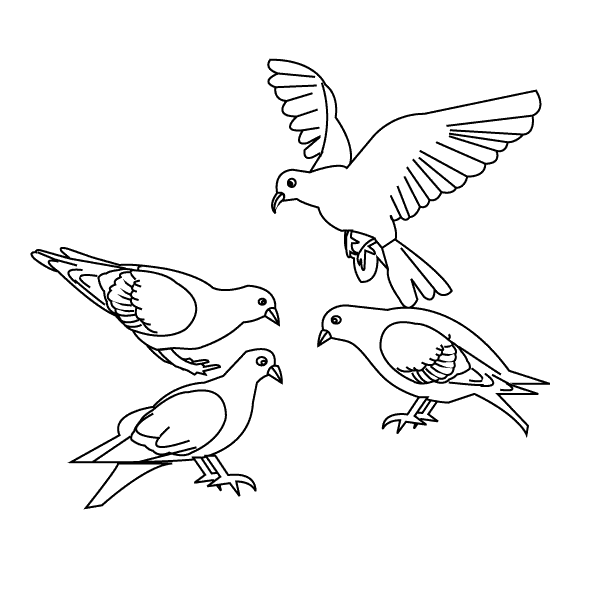 Dibujo para colorear: Aves (Animales) #11856 - Dibujos para colorear