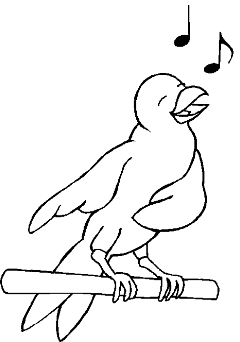 Dibujo para colorear: Aves (Animales) #11880 - Dibujos para Colorear e Imprimir Gratis
