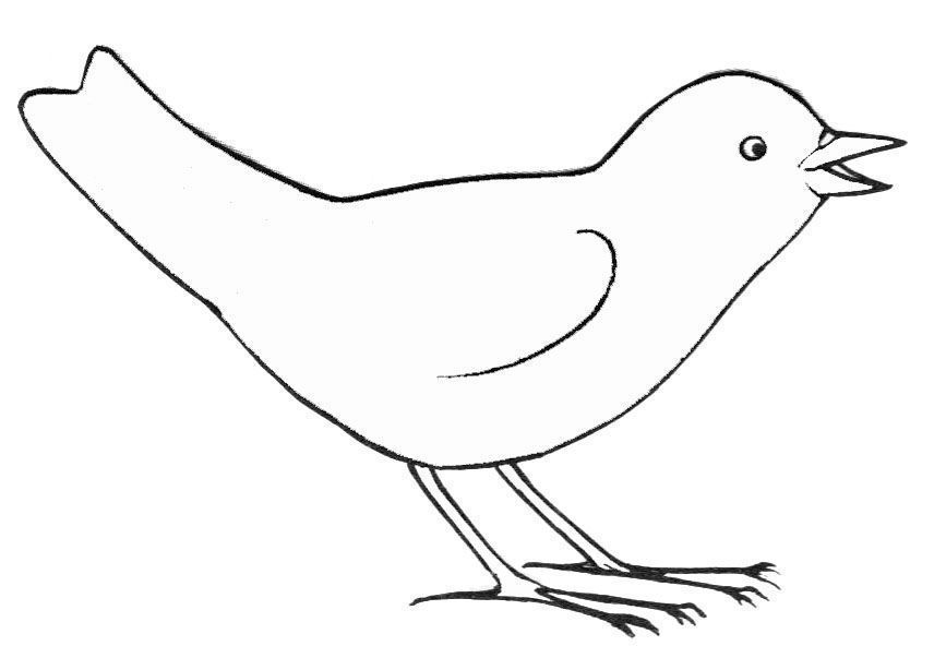 Dibujo para colorear: Aves (Animales) #11884 - Dibujos para Colorear e Imprimir Gratis