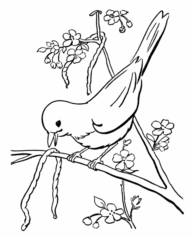 Dibujo para colorear: Aves (Animales) #11885 - Dibujos para Colorear e Imprimir Gratis
