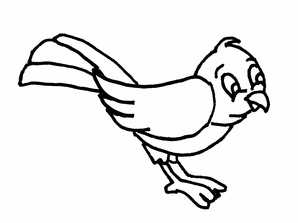 Dibujo para colorear: Aves (Animales) #11892 - Dibujos para Colorear e Imprimir Gratis