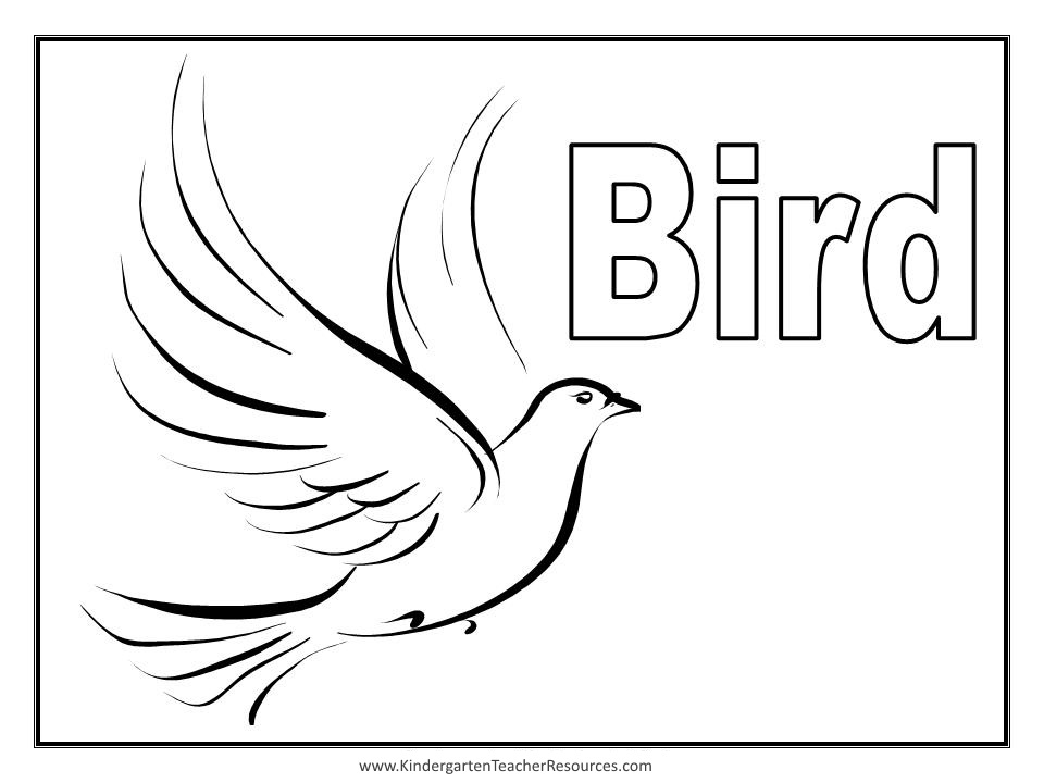Dibujo para colorear: Aves (Animales) #11907 - Dibujos para Colorear e Imprimir Gratis