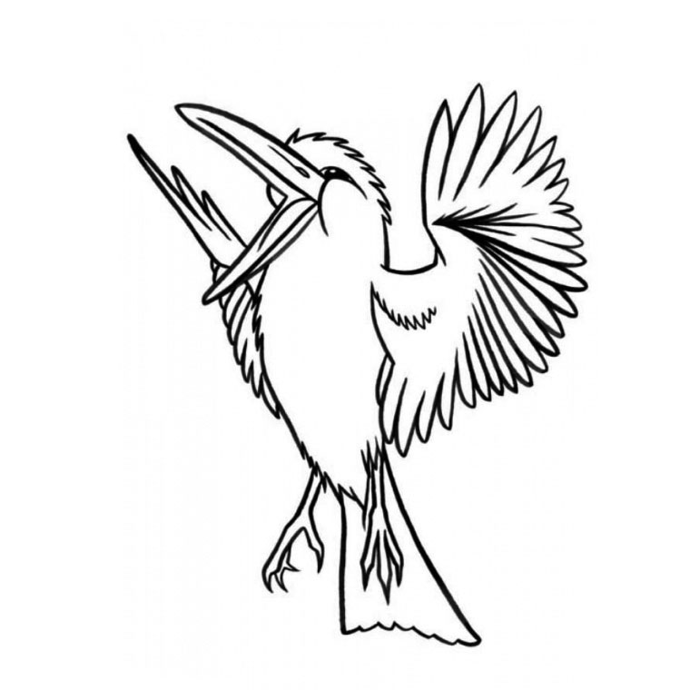 Dibujo para colorear: Aves (Animales) #11911 - Dibujos para colorear