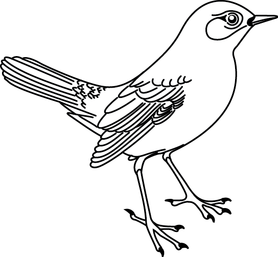 Dibujo para colorear: Aves (Animales) #11913 - Dibujos para Colorear e Imprimir Gratis