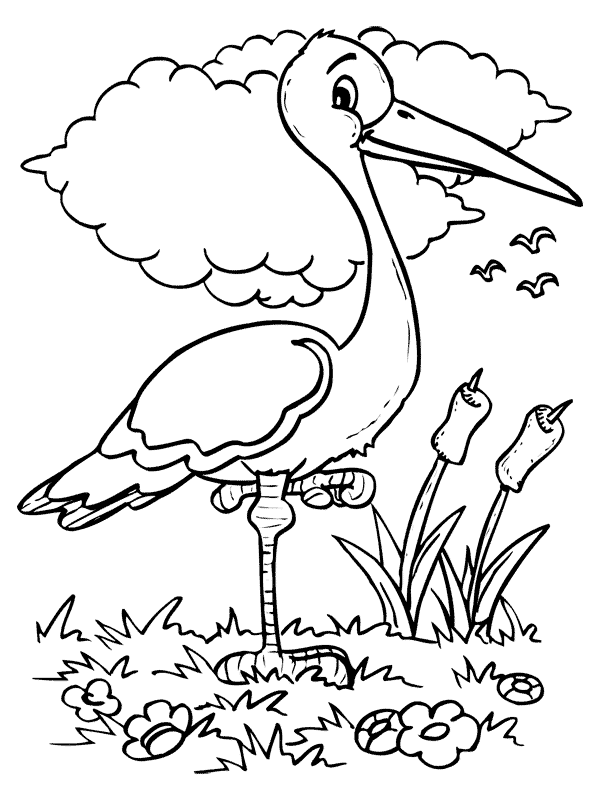 Dibujo para colorear: Aves (Animales) #11920 - Dibujos para colorear