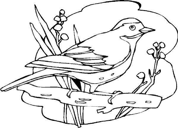 Dibujo para colorear: Aves (Animales) #11921 - Dibujos para Colorear e Imprimir Gratis