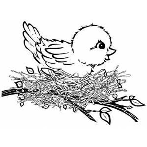 Dibujo para colorear: Aves (Animales) #11952 - Dibujos para colorear
