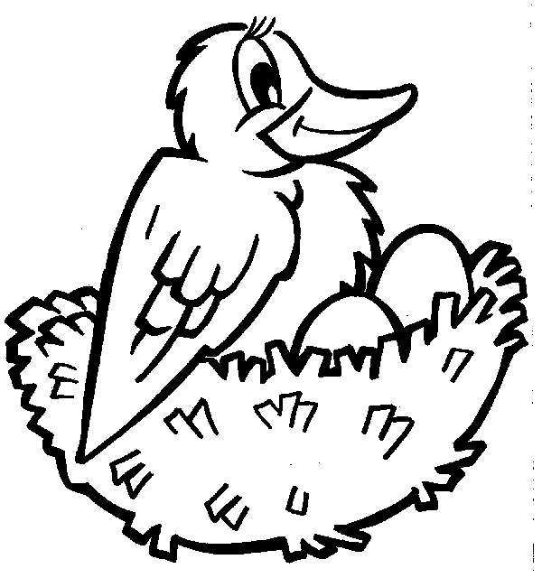 Dibujo para colorear: Aves (Animales) #11958 - Dibujos para colorear