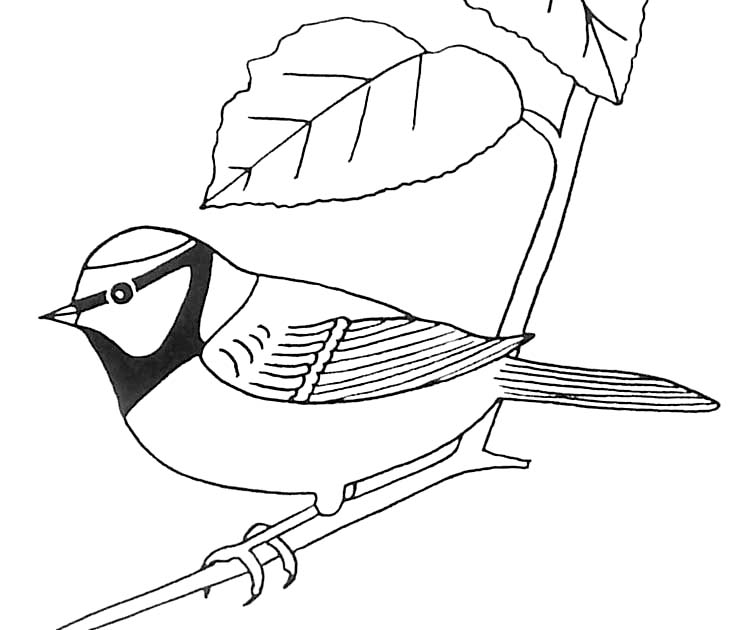 Dibujo para colorear: Aves (Animales) #11960 - Dibujos para colorear