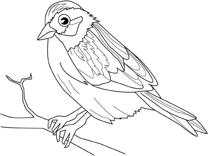 Dibujo para colorear: Aves (Animales) #11961 - Dibujos para Colorear e Imprimir Gratis