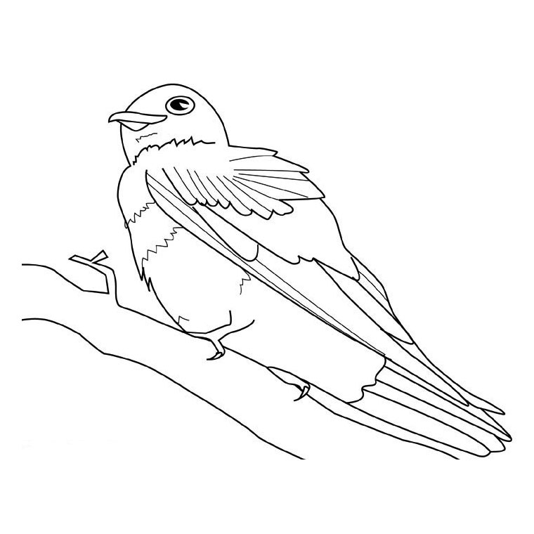 Dibujo para colorear: Aves (Animales) #11962 - Dibujos para colorear