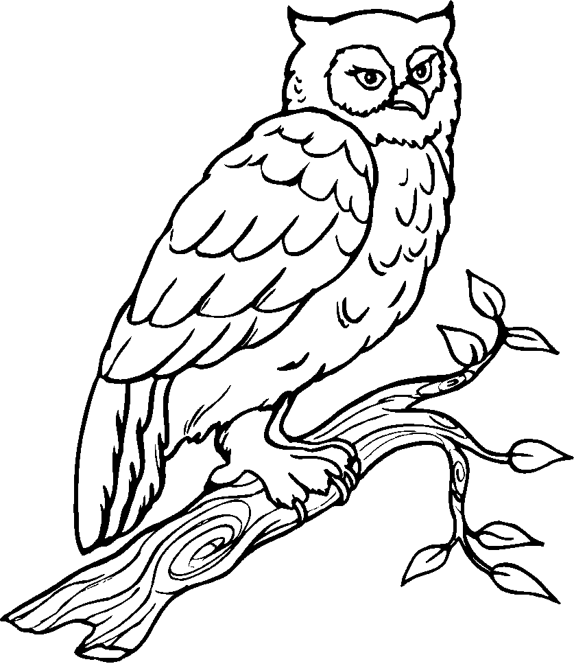 Dibujo para colorear: Aves (Animales) #11974 - Dibujos para colorear
