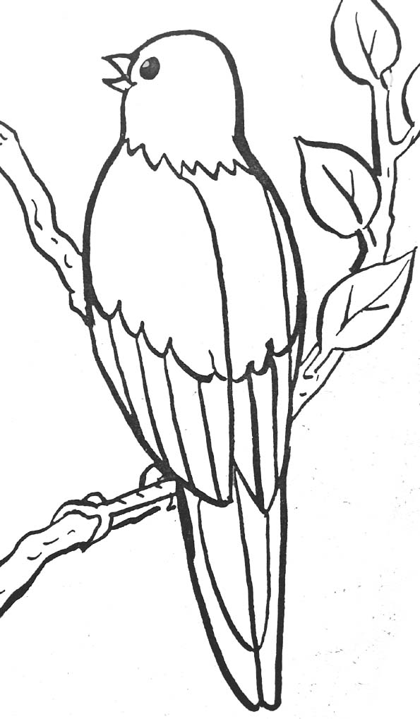 Dibujo para colorear: Aves (Animales) #11976 - Dibujos para Colorear e Imprimir Gratis
