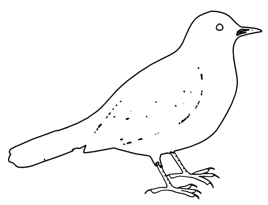 Dibujo para colorear: Aves (Animales) #11977 - Dibujos para colorear