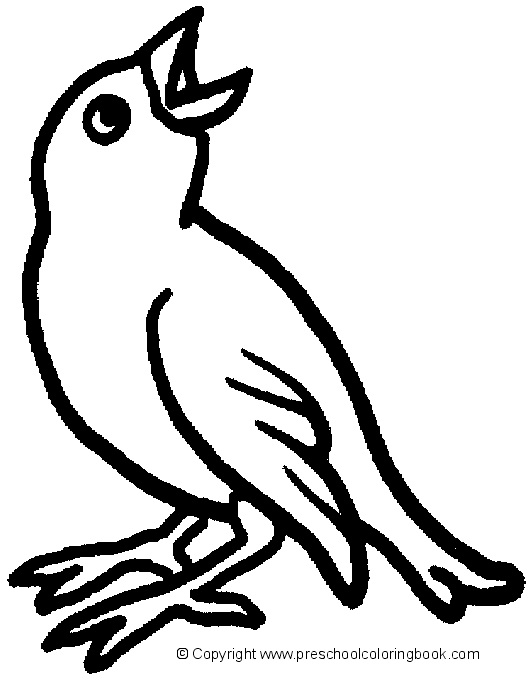Dibujo para colorear: Aves (Animales) #11983 - Dibujos para Colorear e Imprimir Gratis