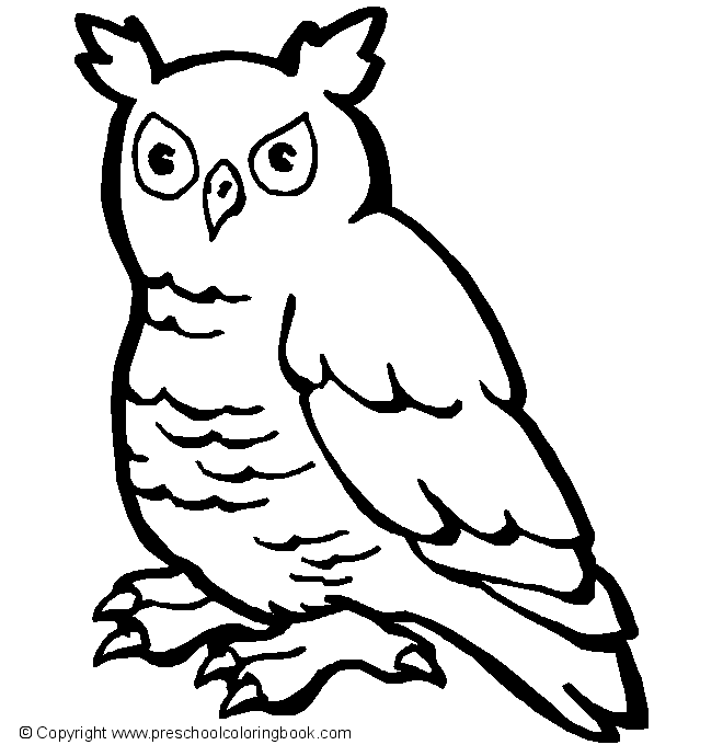 Dibujo para colorear: Aves (Animales) #11984 - Dibujos para colorear