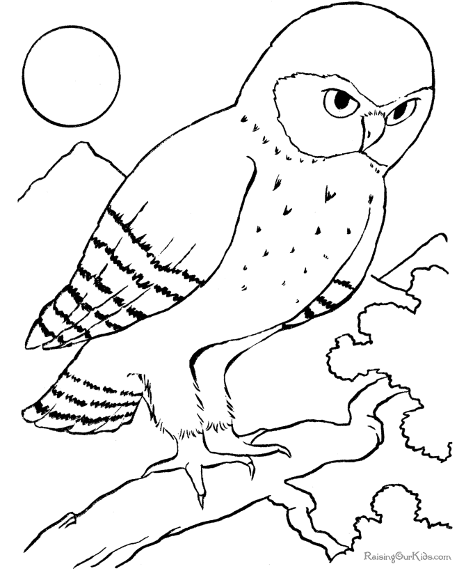 Dibujo para colorear: Aves (Animales) #11990 - Dibujos para colorear