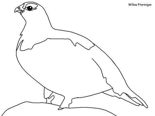 Dibujo para colorear: Aves (Animales) #11991 - Dibujos para colorear