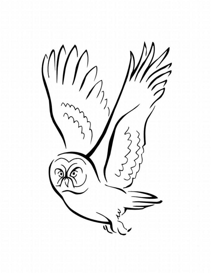 Dibujo para colorear: Aves (Animales) #11992 - Dibujos para Colorear e Imprimir Gratis