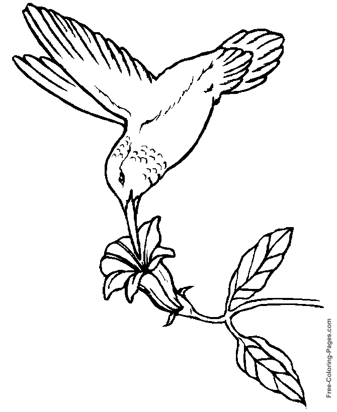 Dibujo para colorear: Aves (Animales) #11994 - Dibujos para colorear