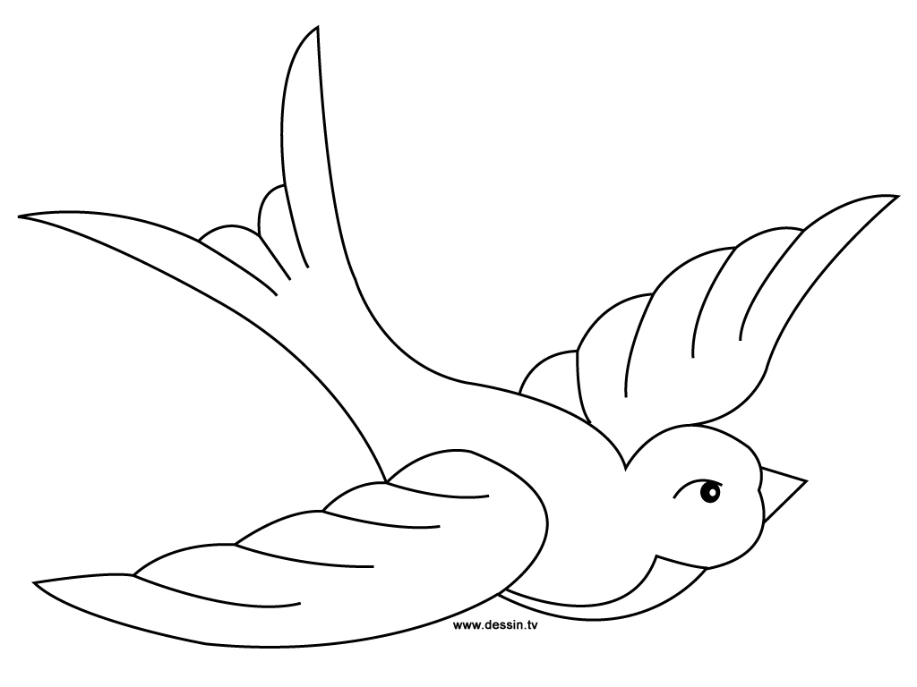 Dibujo para colorear: Aves (Animales) #11998 - Dibujos para colorear