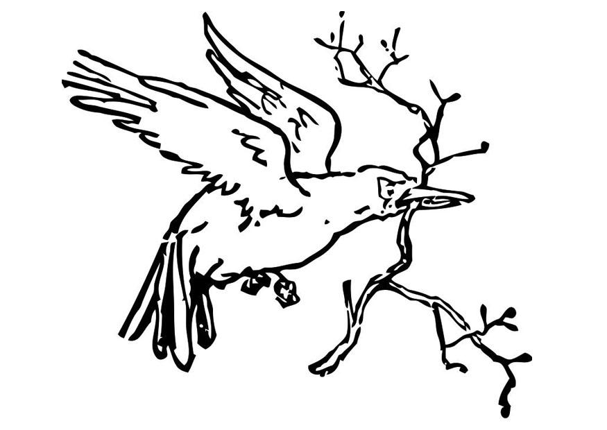 Dibujo para colorear: Aves (Animales) #12006 - Dibujos para colorear