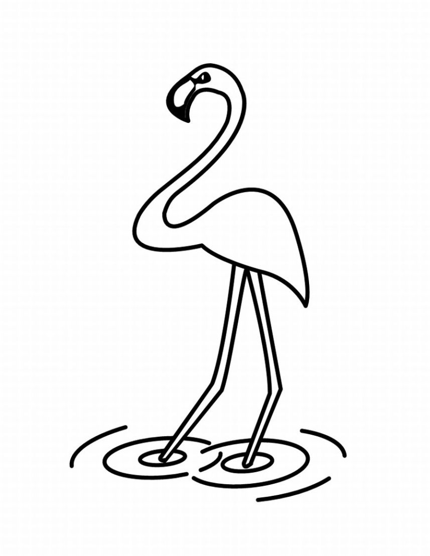 Dibujo para colorear: Aves (Animales) #12009 - Dibujos para colorear