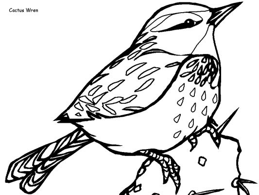 Dibujo para colorear: Aves (Animales) #12026 - Dibujos para colorear