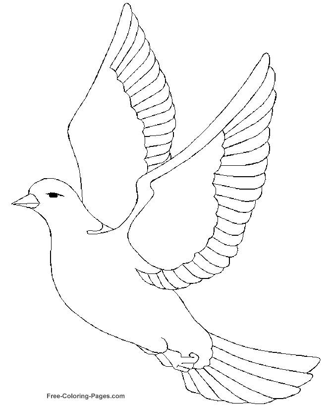 Dibujo para colorear: Aves (Animales) #12028 - Dibujos para colorear