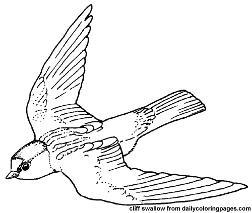 Dibujo para colorear: Aves (Animales) #12029 - Dibujos para Colorear e Imprimir Gratis