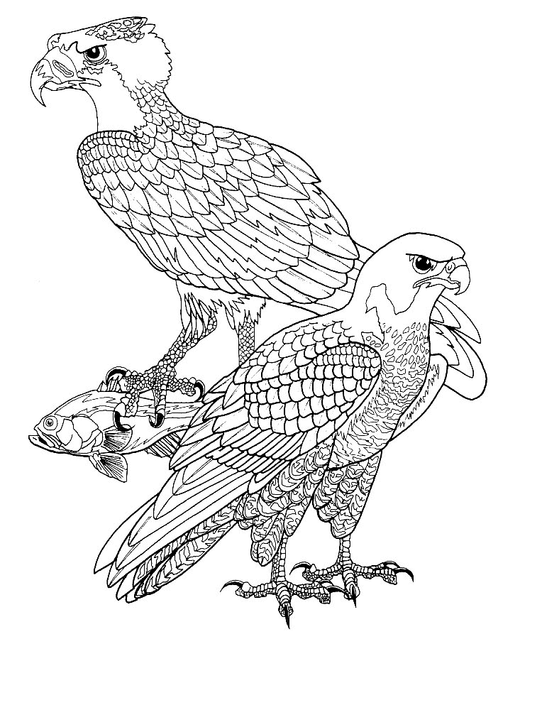 Dibujo para colorear: Aves (Animales) #12053 - Dibujos para Colorear e Imprimir Gratis