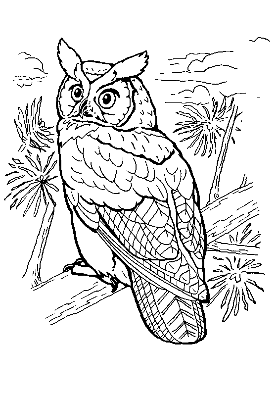 Dibujo para colorear: Aves (Animales) #12054 - Dibujos para Colorear e Imprimir Gratis