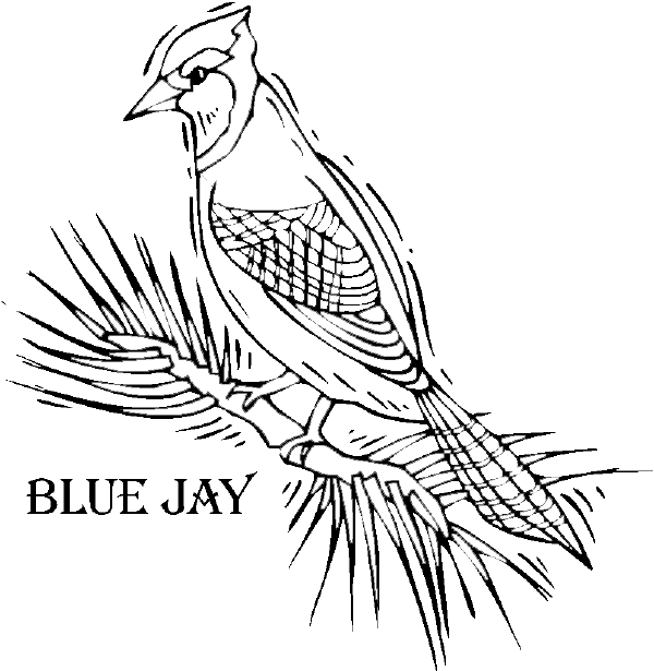 Dibujo para colorear: Aves (Animales) #12062 - Dibujos para colorear