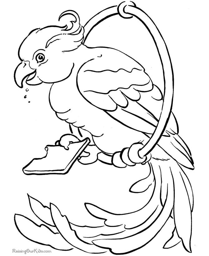 Dibujo para colorear: Aves (Animales) #12065 - Dibujos para Colorear e Imprimir Gratis
