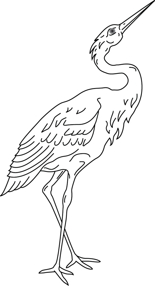Dibujo para colorear: Aves (Animales) #12067 - Dibujos para Colorear e Imprimir Gratis