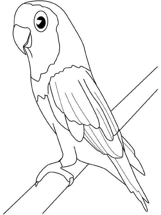 Dibujo para colorear: Aves (Animales) #12084 - Dibujos para Colorear e Imprimir Gratis