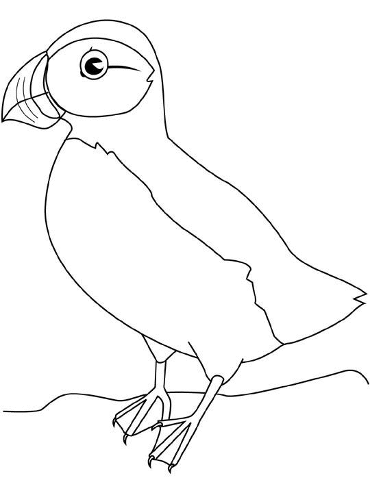 Dibujo para colorear: Aves (Animales) #12098 - Dibujos para Colorear e Imprimir Gratis