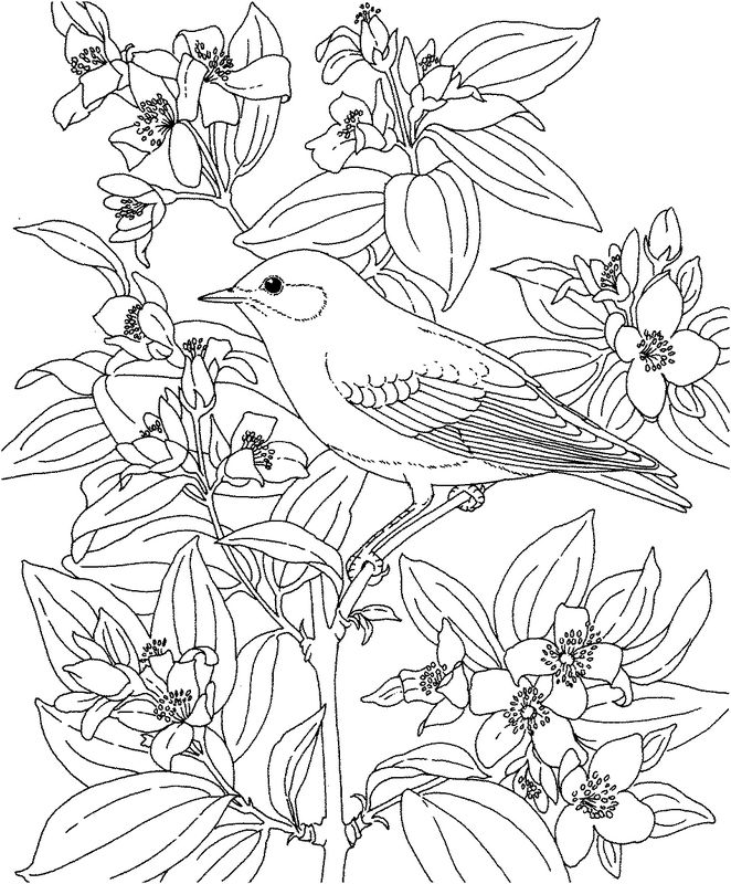 Dibujo para colorear: Aves (Animales) #12108 - Dibujos para colorear