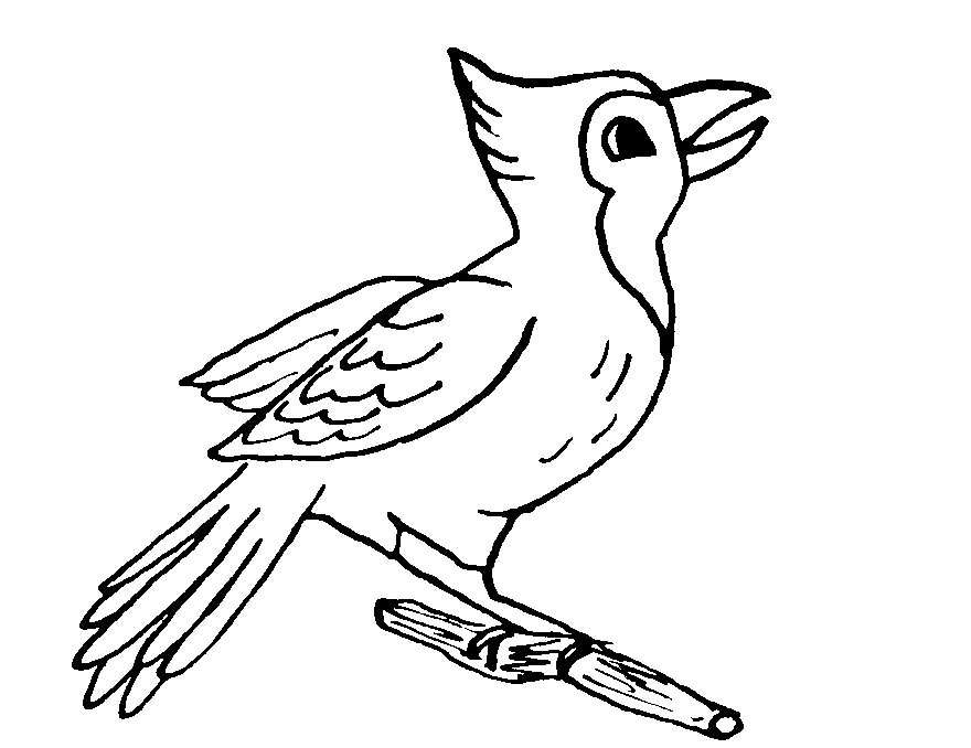 Dibujo para colorear: Aves (Animales) #12112 - Dibujos para colorear