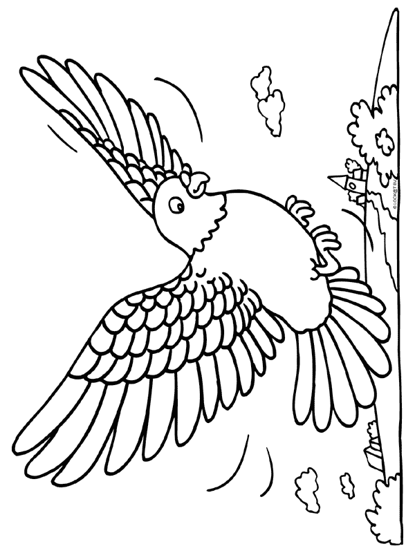 Dibujo para colorear: Aves (Animales) #12132 - Dibujos para colorear