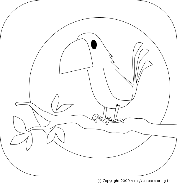Dibujo para colorear: Aves (Animales) #12139 - Dibujos para Colorear e Imprimir Gratis
