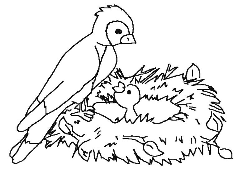Dibujo para colorear: Aves (Animales) #12145 - Dibujos para colorear
