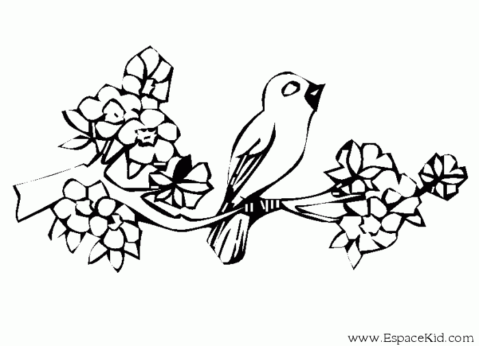 Dibujo para colorear: Aves (Animales) #12147 - Dibujos para colorear