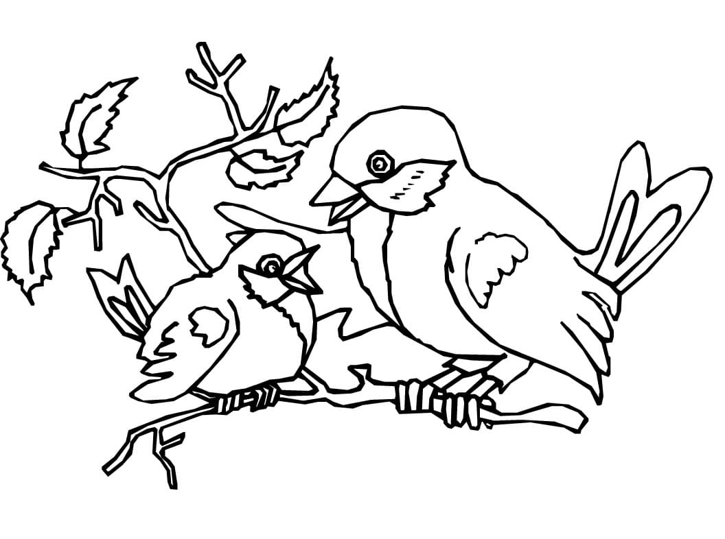Dibujo gratuito Aves #174994 de la coleccion Animales para imprimir Dibujo gratuito Aves #174994 de la coleccion Animales para imprimir